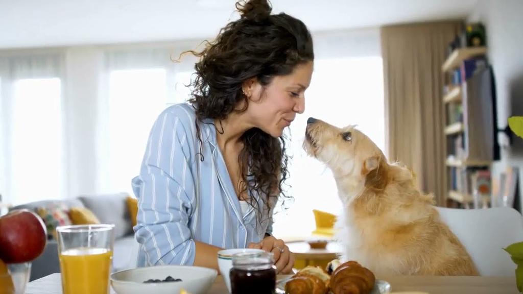 'Video thumbnail for Can Dogs Eat Bread? | Cute Dog Videos | Pawesomepuppy'