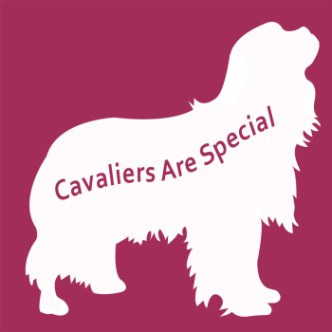 cavalierarespecial logo