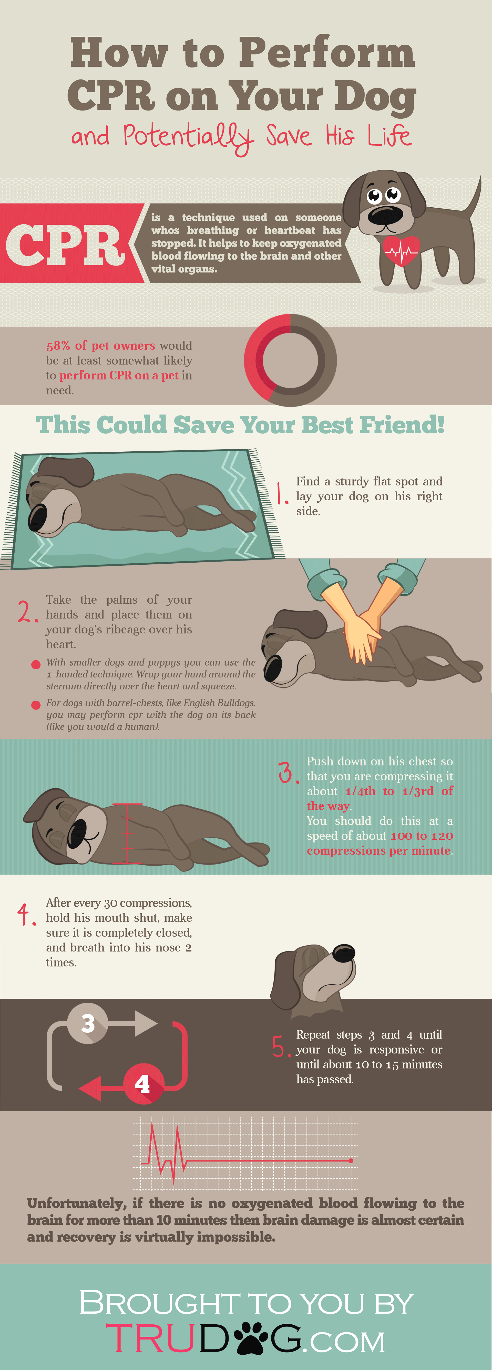 how to perform cpr on dog