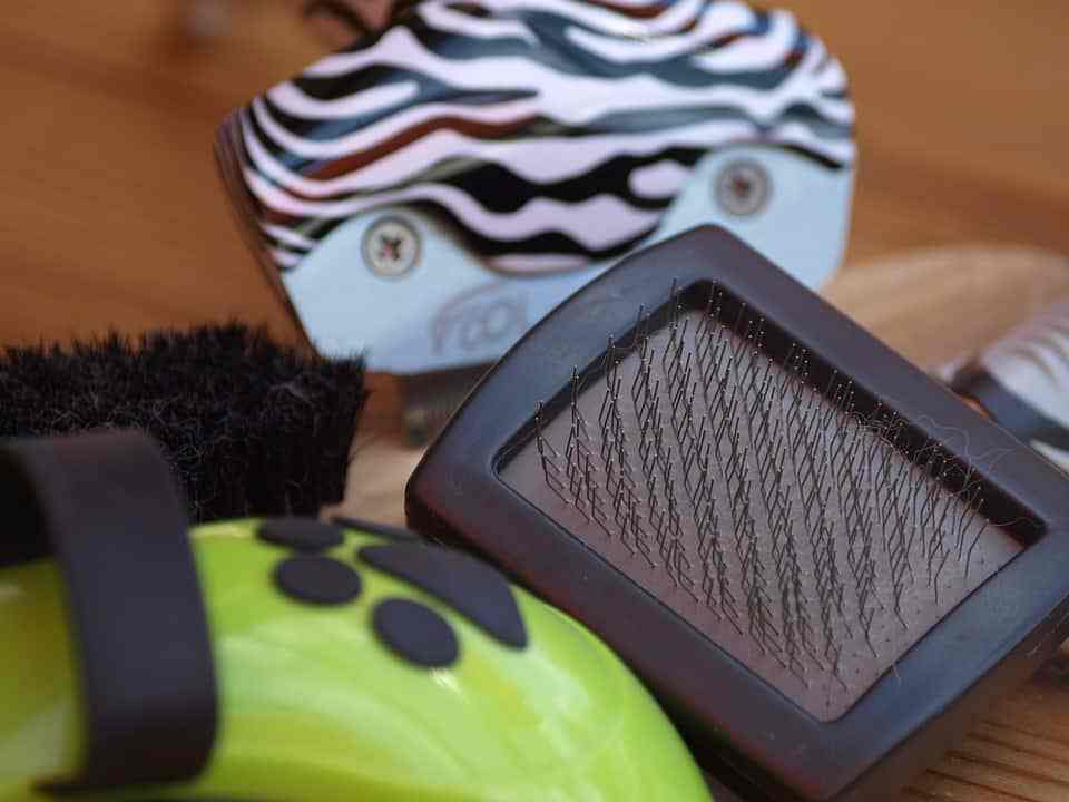 best dog brush for shedding