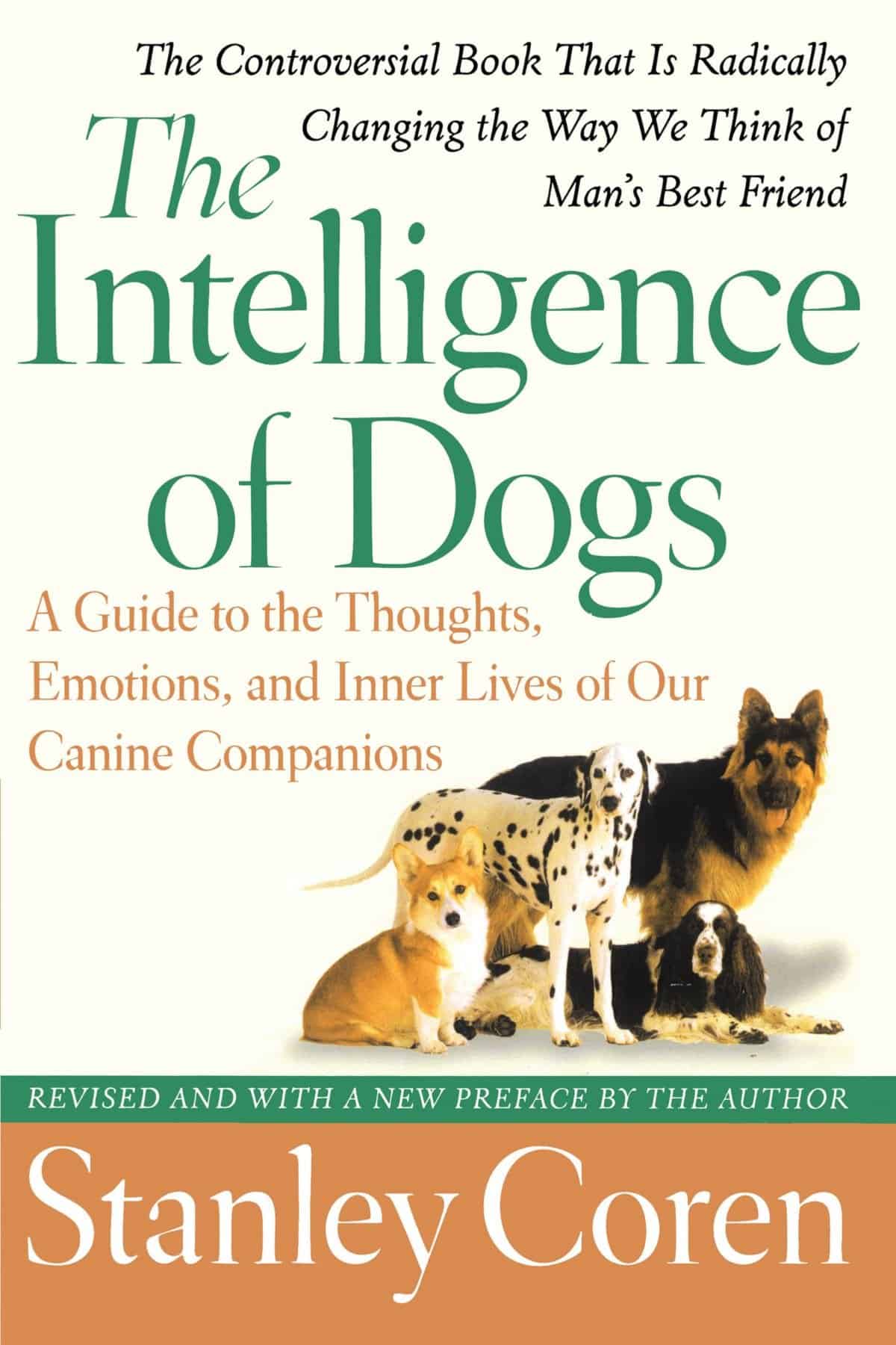 cavalier king charles spaniel intelligence ranking