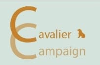 cavaliercampaign