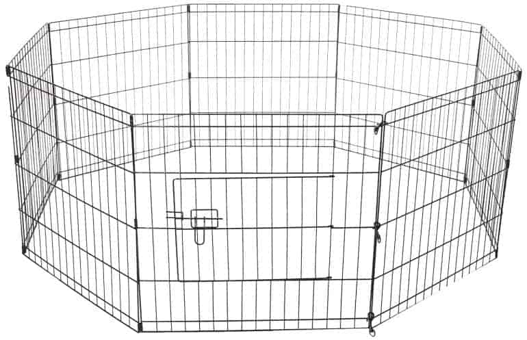 Cavalier King Charles Spaniel Puppy Pen